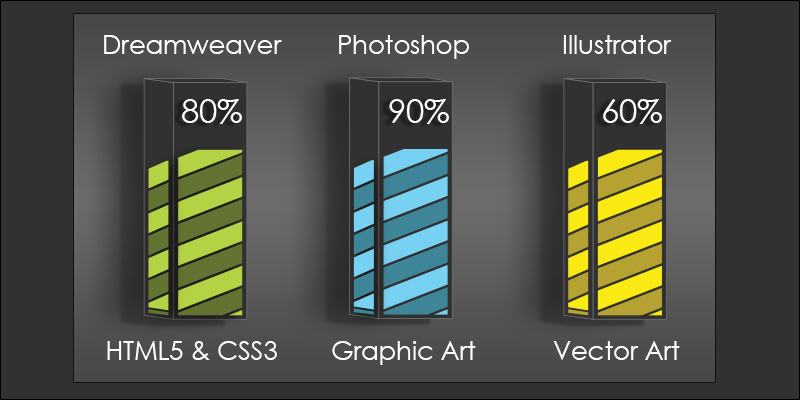 Experience with Software & Languages